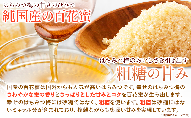 幸せの はちみつ 梅 700g 有限会社 樽の味《30日以内に出荷予定(土日祝除く)》和歌山県 日高川町 送料無料 梅 梅干し はちみつ うめぼし 蜂蜜 紀州 南高梅 ごはんのお供 おつまみ にも最適！ 漬け物 美味しい 漬物 おかず 紀州