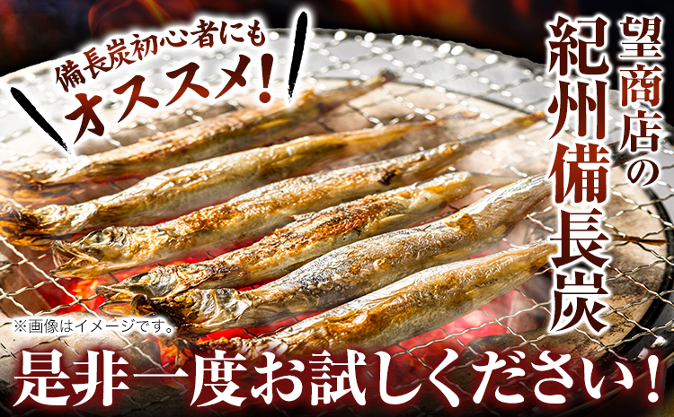 紀州備長炭 訳あり 約1.5kg 望商店 《120日以内に出荷予定(土日祝除く)》 和歌山県 日高川町 備長炭 紀州備長炭 炭 約1.5kg 高級白炭