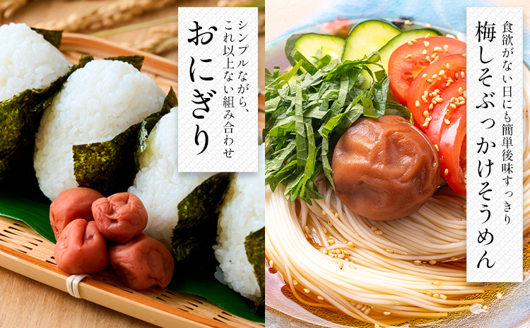 【数量限定！3～7営業日出荷】紀州 南高梅 梅干し しそ漬け 2袋 はちみつ 1袋 送料無料 メール便 ご家庭用 無選別 《3-7営業日以内に発送予定(土日祝日除く)》和歌山県 日高川町 しそ梅 はちみつ梅 しそ はちみつ 蜂蜜