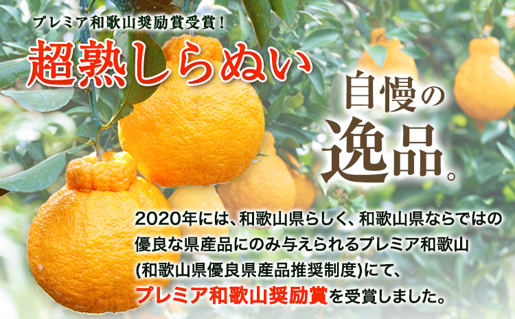 採れたて新鮮 濃厚な甘さ 超完熟しらぬい 5kg まるまつ農園《3月中旬-4月末頃より出荷》 和歌山県 日高川町 不知火 柑橘 しらぬい 完熟 （ デコポン と同品種）