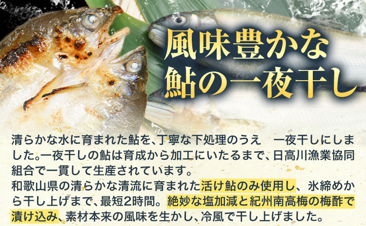 縲梧葎縺縺ッ縺壹〒縺吶ゅ咲音驕ク縺ゅf荳螟懷ケイ縺励そ繝繝(13譫壼・)縲譌・鬮伜キ晄シ∵・ュ蜊泌酔邨蜷医90譌・莉・蜀縺ォ蜃コ闕キ莠亥ョ(蝨滓律逾晞勁縺)縲 蜥梧ュ悟アア逵 譌・鬮伜キ晉伴 縺ゅf 魄 鬲 荳螟懷ケイ縺(f-2)