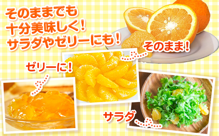 【先行予約】【ふるさと納税】パック入り 甘夏 10kg(サイズ混合) 松井農園《2026年4月上旬-5月中旬頃出荷》和歌山県 日高川町 フルーツ 柑橘 あまなつ(F)