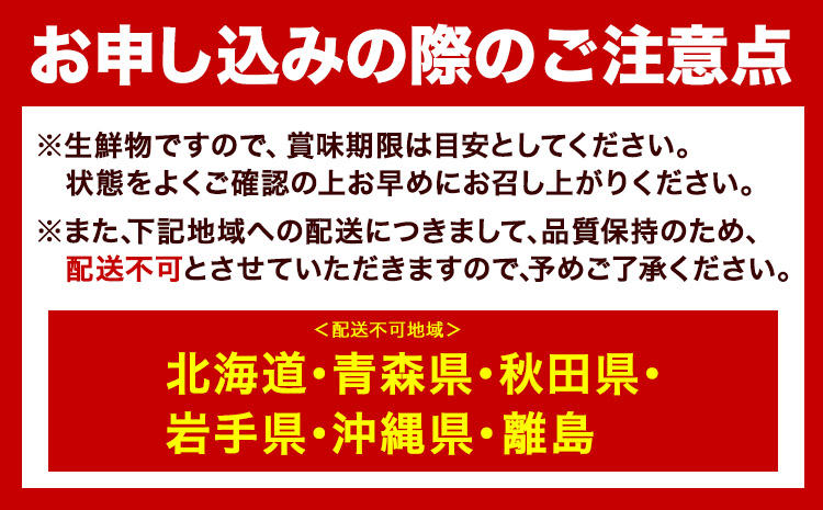 「まりひめ」和歌山県オリジナル いちご 約1200g 約1.2kg 約300g×4パック入 株式会社はし長 《1月上旬-2月末頃出荷》 和歌山県 日高川町 フルーツ 果物 苺 いちご【配送不可地域あり】