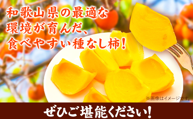 【先行予約】和歌山産 たねなし 柿（L〜4Lサイズおまかせ）約 7.5kg・秀品 厳選館《2025年10月上旬-11月中旬頃出荷》和歌山県 日高川町 柿 カキ かき ジューシー フルーツ たねなし