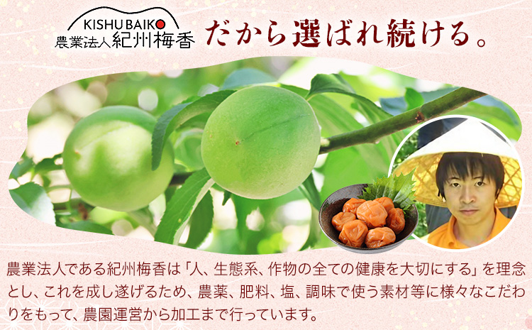 昔ながらの梅干し 訳あり つぶれ梅 計1kg 500g 2パック 農業法人 株式会社紀州梅香《30日以内に出荷予定(土日祝除く)》 和歌山県 日高川町 梅 うめ フルーツ 果物