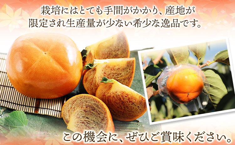 ＜2026年先行予約＞希少 紀の川柿 約1.8～2kg（種無し）秀選品 厳選館 《2026年10月上旬-11月上旬頃出荷》 和歌山県 日高川町 柿 カキ かき ジューシー フルーツ