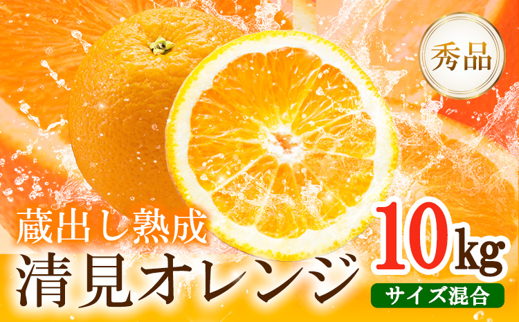 熟成清見オレンジ秀品 10kg どの坂果樹園《3月上旬-5月中旬頃出荷》 和歌山県 日高川町 清見オレンジ 旬 柑橘 フルーツ 果物 オレンジ 熟成