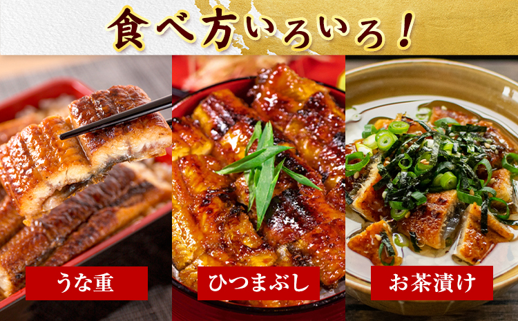 大型サイズ ふっくら柔らか国産 うなぎ 蒲焼き 2尾 化粧箱入(真空パック入) 株式会社魚鶴商店《30日以内に出荷予定(土日祝除く)》 和歌山県 日高川町 うなぎ 鰻 ギフト 贈り物(F-4)