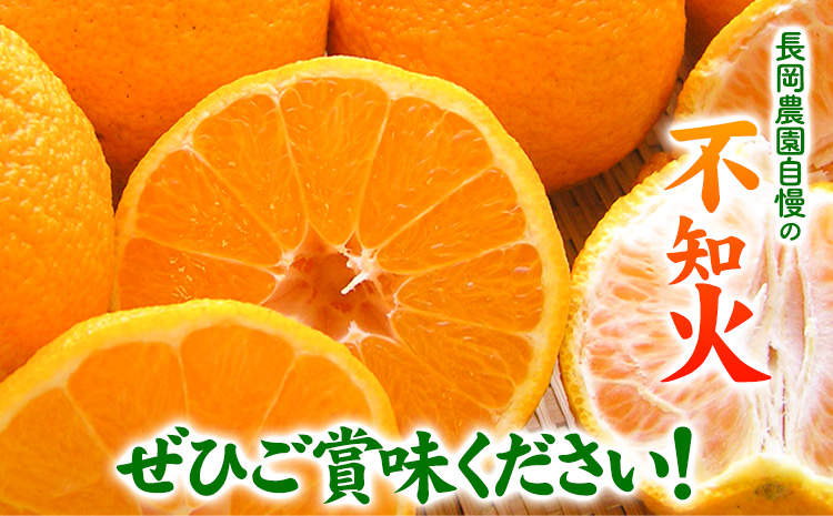 ãå
è¡äºçŽãèš³ãã å°ç äžç¥ç« ( ãã³ãã³ )ãšååçš® çŽ10kg é·å²¡èŸ²åã2026幎3æäžæ¬-4æäžæ¬é åºè·ãåæå±±ç æ¥é«å·çº æç© ãã«ãŒã ææ© äžç¥ç« ããã¬ã å°ç èš³ãã ãå®¶åºçš éæç¡æ(F-1))