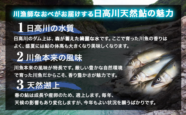 天然鮎 日高川 椿山ダム上流(寒川産) 17cm-19cm 5尾×2パック 計10尾 川