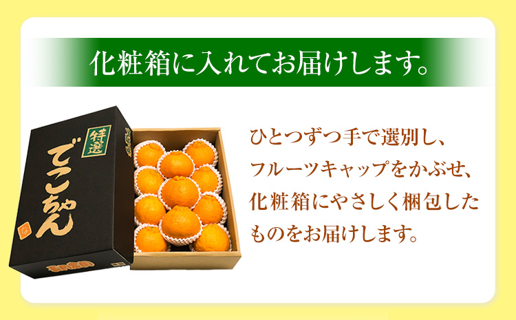 【先行受付】でこちゃん(不知火)11玉 長岡農園《2月中旬-4月上旬頃出荷》 和歌山県 日高川町 不知火 デコポンと同品種しらぬい柑橘果物フルーツくだもの  