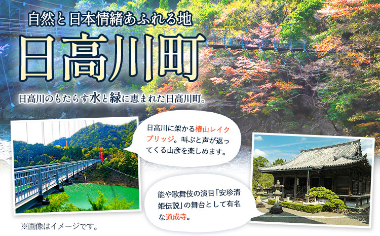 日高川町内の観光施設で利用できる「利用券」15,000円(500円券×30枚)　株式会社フラット・フィールド・オペレーションズ 日高川町事業所 (きのくに中津荘)《30日以内に出荷予定(土日祝除く)》 和歌山県 日高川町 観光施設 利用券