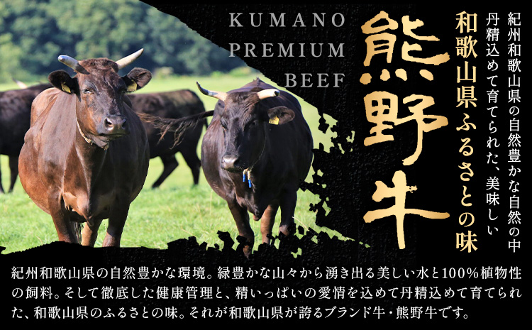 牛肉 熊野牛 霜降り スライス 500g グリーンファーム《30日以内に出荷予定(土日祝除く)》和歌山県 日高川町 熊野牛 スライス しゃぶしゃぶ すき焼き(F-5)