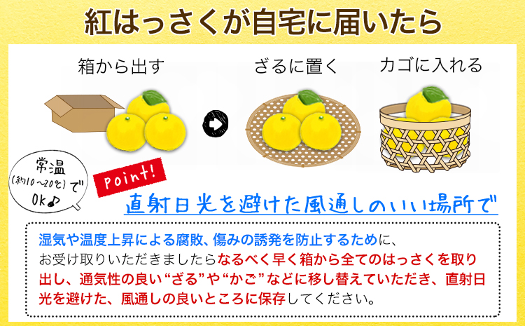 【先行受付】樹上完熟 紅はっさく 約10kg S～3L 家庭用 サイズ混合 横川果樹園 《2025年4月上旬-5月上旬頃出荷》 和歌山県 日高川町 みかん 完熟 柑橘 フルーツ 八朔 はっさく