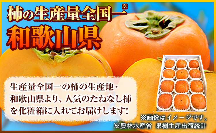 【秋の味覚】＜先行予約＞和歌山産 の たねなし 柿 2L〜4Lサイズ 約 4kg（化粧箱入り）厳選館《2025年10月上旬-11月中旬頃出荷》和歌山県 日高川町 柿 カキ かき ジューシー フルーツ たねなし