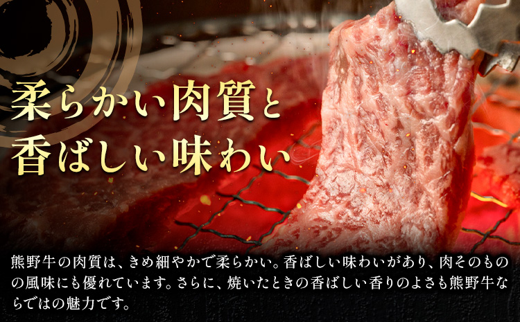 牛肉 熊野牛 霜降り スライス 500g グリーンファーム《30日以内に出荷予定(土日祝除く)》和歌山県 日高川町 熊野牛 スライス しゃぶしゃぶ すき焼き(F-5)