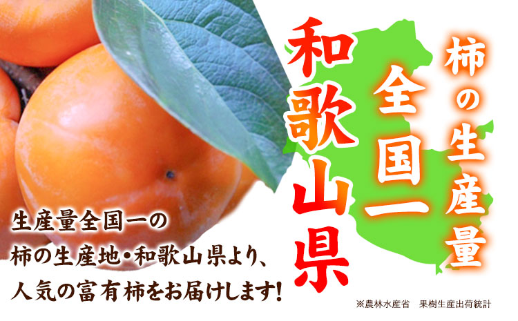 先行予約〈ご家庭用〉柿の名産地 九度山の 富有柿 約7.5kg 厳選館 《2026年11月上旬-12月下旬頃出荷》 和歌山県 日高川町 柿 カキ かき ジューシー フルーツ