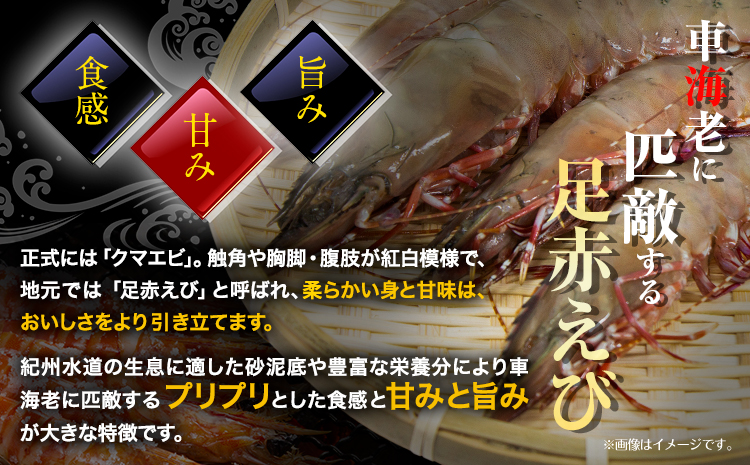 紀州和歌山産天然足赤えび 540g×2箱(270g×4パック) 化粧箱入 魚鶴商店《12月上旬-2月上旬頃出荷》和歌山県 日高川町 足赤えび えび エビ（F-1)