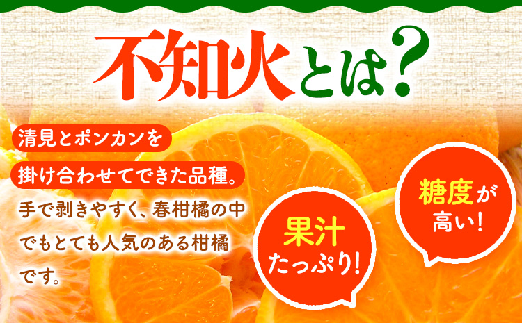 【先行受付】でこちゃん(不知火)11玉 長岡農園《2月中旬-4月上旬頃出荷》 和歌山県 日高川町 不知火 デコポンと同品種しらぬい柑橘果物フルーツくだもの  