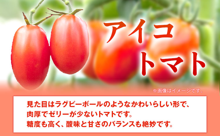 【先行予約】 和歌山産 ミニトマト アイコトマト 約2kg SまたはMサイズ サイズおまかせ 厳選館 《2026年1月上旬-2月中旬頃出荷》 和歌山県 日高川町 トマト とまと アイコトマト 送料無料【配送不可地域あり】