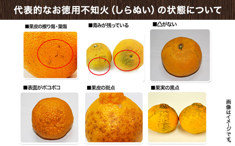 完熟 不知火 ( デコポン)と同品種 約10kg S～2L 家庭用 サイズ混合 横川果樹園 《3月中旬-4月末頃出荷》 和歌山県 日高川町 不知火 みかん 果物 柑橘 フルーツ 