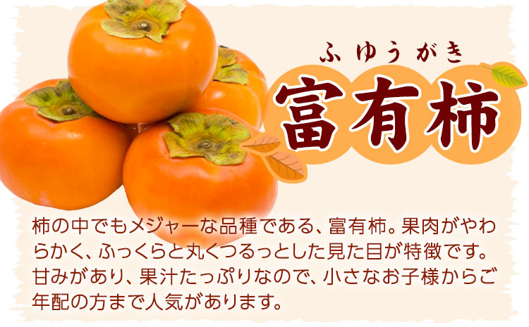 先行予約〈ご家庭用〉柿の名産地 九度山の 富有柿 約7.5kg 厳選館 《2026年11月上旬-12月下旬頃出荷》 和歌山県 日高川町 柿 カキ かき ジューシー フルーツ