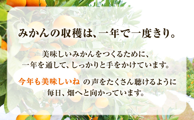 木成り完熟 温州みかん ミックスサイズ 5kg まるまつ農園《12月上旬-1月末頃より出荷》 和歌山県 日高川町 温州みかん みかん 完熟