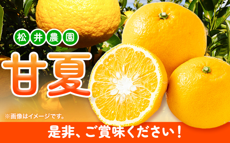 【先行予約】【ふるさと納税】パック入り 甘夏 10kg(サイズ混合) 松井農園《2026年4月上旬-5月中旬頃出荷》和歌山県 日高川町 フルーツ 柑橘 あまなつ(F)