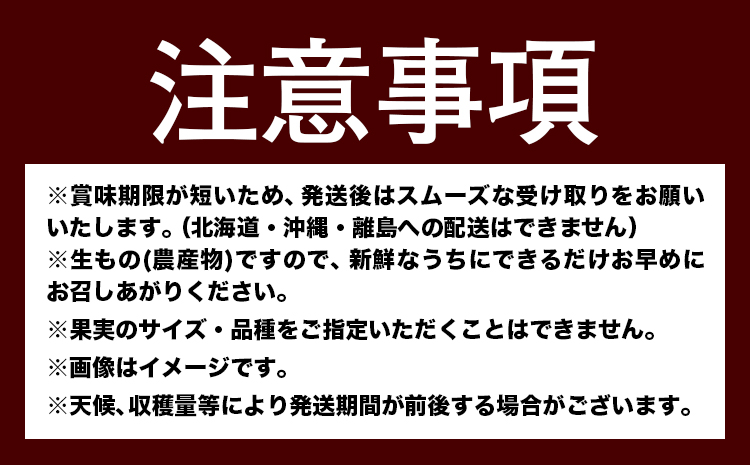 人気フルーツ全3回（7月・9月・11月）定期便 厳選館《7月上旬-11月末頃出荷》和歌山県 日高川町 果物 フルーツ 和歌山の 桃 種なし ピオーネ ぶどう 有田 みかん 送料無料【配送不可地域あり】