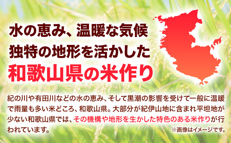 令和6年産 粒より米 きぬひかり 10kg JA紀州 さわやか日高《90日以内に出荷予定(土日祝除く)》 和歌山県 日高川町 米 こめ コメ きぬひかり キヌヒカリ 送料無料 精米