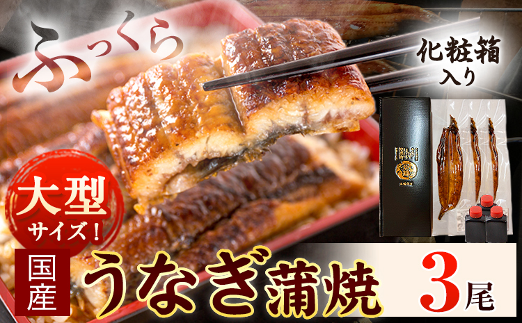 大型サイズ ふっくら柔らか国産 うなぎ 蒲焼き 3尾 化粧箱入(真空パック入) 株式会社魚鶴商店《30日以内に出荷予定(土日祝除く)》 和歌山県 日高川町 うなぎ 鰻 ギフト 贈り物(F-7)