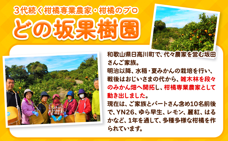 不知火 ( デコポン と同品種 ) しらぬい 約 5kg (L〜5Lサイズ) どの坂果樹園《2月中旬-4月上旬頃出荷》 和歌山県 日高川町 しらぬい 不知火 デコポン でこぽん 旬 果物 フルーツ 柑橘 産地直送 送料無料