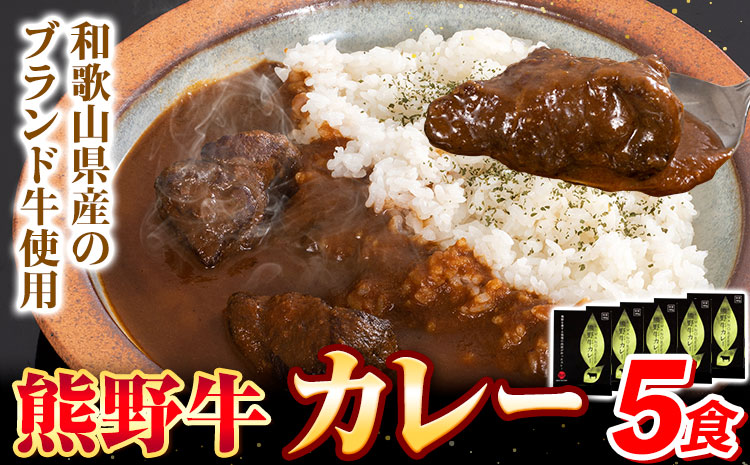 牛肉 熊野牛 カレー 5食セット 株式会社Meat Factory《30日以内に出荷予定(土日祝除く)》和歌山県 日高川町 熊野牛 牛 和牛 焼肉 希少部位 ミスジ 焼肉