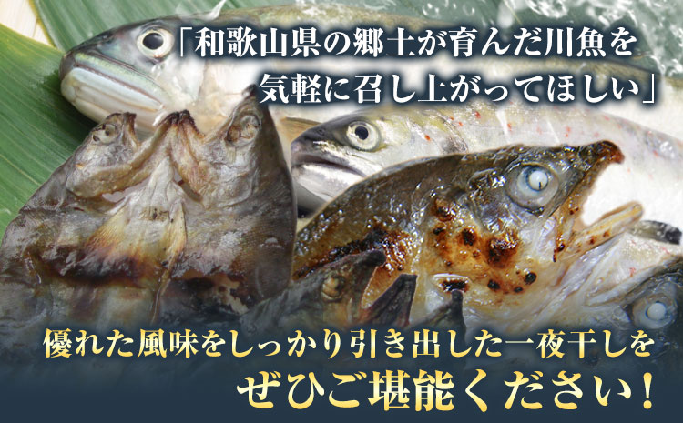 縲梧葎縺縺ッ縺壹〒縺吶ゅ咲音驕ク縺ゅf荳螟懷ケイ縺励そ繝繝(13譫壼・)縲譌・鬮伜キ晄シ∵・ュ蜊泌酔邨蜷医90譌・莉・蜀縺ォ蜃コ闕キ莠亥ョ(蝨滓律逾晞勁縺)縲 蜥梧ュ悟アア逵 譌・鬮伜キ晉伴 縺ゅf 魄 鬲 荳螟懷ケイ縺(f-2)