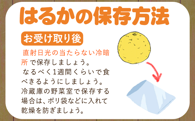 はるか 約7kg S～2L 家庭用 サイズ混合 横川果樹園 《2月上旬-3月中旬頃より出荷》 和歌山県 日高川町 はるか みかん 果物 柑橘 フルーツ くだもの