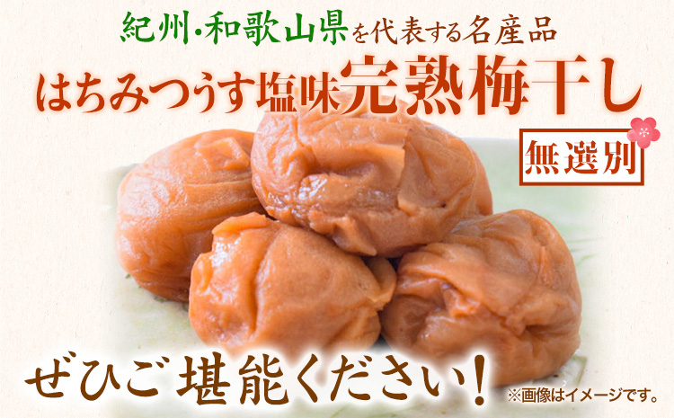 紀州南高梅使用 はちみつうす塩味完熟梅干し 無選別1kg 厳選館 《90日以内に出荷(土日祝除く)》 和歌山県 日高川町 紀州南高梅 はちみつうす塩 梅干し