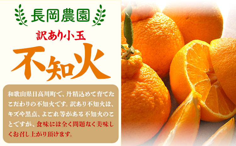 ãå
è¡äºçŽãèš³ãã å°ç äžç¥ç« ( ãã³ãã³ )ãšååçš® çŽ10kg é·å²¡èŸ²åã2026幎3æäžæ¬-4æäžæ¬é åºè·ãåæå±±ç æ¥é«å·çº æç© ãã«ãŒã ææ© äžç¥ç« ããã¬ã å°ç èš³ãã ãå®¶åºçš éæç¡æ(F-1))