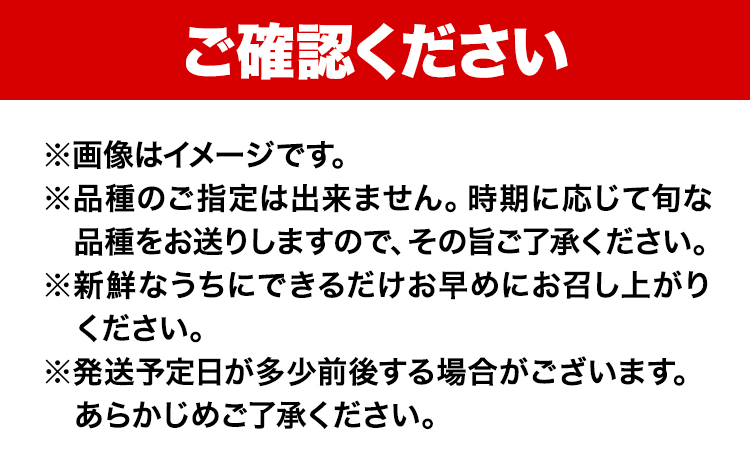 紀州和歌山県産の梨 約2kg 5〜7玉 化粧箱入 魚鶴商店《8月中旬-9月上旬出荷》和歌山県 日高川町 和歌山県産 梨 なし ナシ 贈り物 ギフト(f)