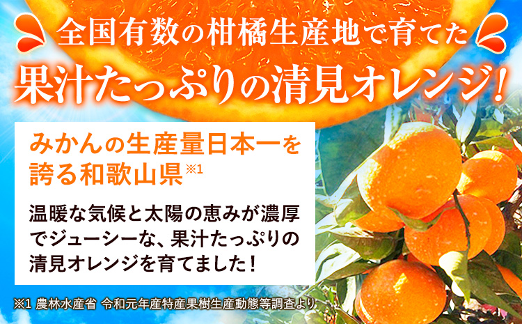 【ご家庭用訳アリ】 紀州有田産清見オレンジ 約5kg 株式会社魚鶴商店《2026年3月下旬-4月中旬頃出荷》 和歌山県 日高川町 オレンジ 柑橘 ご家庭用 フルーツ