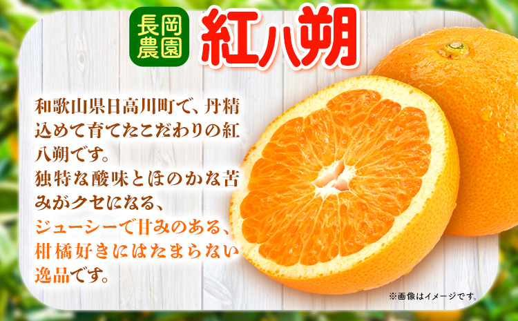 【先行予約】紅八朔 約10kg 長岡農園《2026年3月下旬-5月中旬頃出荷》 和歌山県 日高川町 紅八朔 八朔 はっさくハッサク