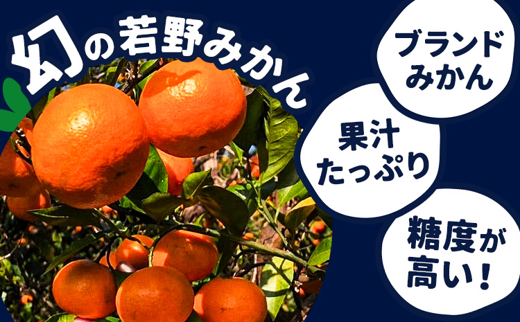 赤秀 若野みかん 約5kg サイズ無選別 圦本悟農園《12月上旬-2月中旬頃出荷》和歌山県 日高川町 旬 新鮮 果物 柑橘 フルーツ 国産 送料無料 ミカン みかん 温州みかん