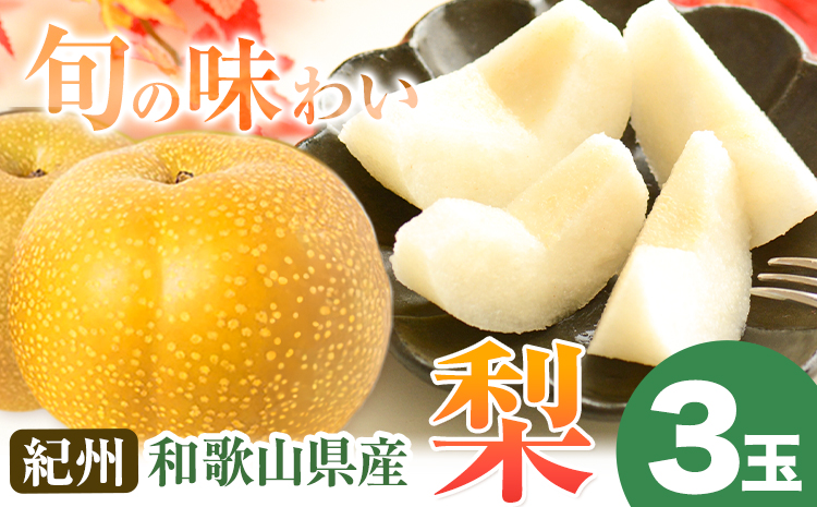 【2026年先行予約】紀州和歌山県産の梨 3玉 化粧箱入 魚鶴商店《8月中旬-9月上旬出荷》和歌山県 日高川町 和歌山県産 梨 なし ナシ 贈り物 ギフト