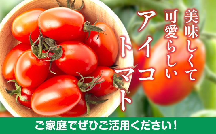 【先行予約】 和歌山産 ミニトマト アイコトマト 約2kg SまたはMサイズ サイズおまかせ 厳選館 《2026年1月上旬-2月中旬頃出荷》 和歌山県 日高川町 トマト とまと アイコトマト 送料無料【配送不可地域あり】