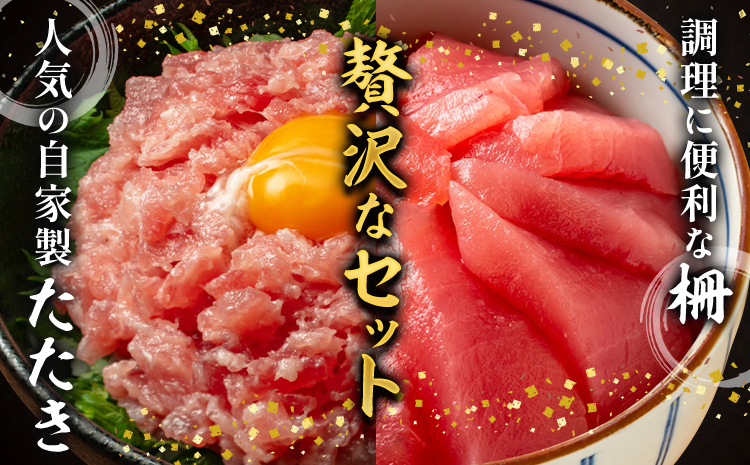 那智勝浦直送 天然もちもち生ビン長まぐろとまぐろたたきセット 2人前 株式会社魚鶴商店《30日以内に出荷予定(土日祝除く)》和歌山県 日高川町 まぐろ 魚 マグロ たたき ねぎとろ 海鮮 鮪 魚介 さかな ビン長 ビン長まぐろ海鮮 (f-1)