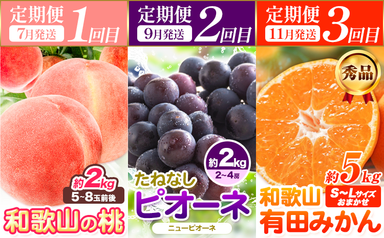 人気フルーツ全3回（7月・9月・11月）定期便 厳選館《7月上旬-11月末頃出荷》和歌山県 日高川町 果物 フルーツ 和歌山の 桃 種なし ピオーネ ぶどう 有田 みかん 送料無料【配送不可地域あり】