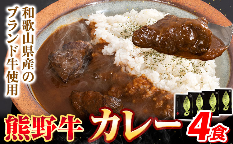 牛肉 熊野牛 カレー 4食セット 株式会社Meat Factory《30日以内に出荷予定(土日祝除く)》和歌山県 日高川町 熊野牛 牛 和牛 焼肉 希少部位 ミスジ 焼肉