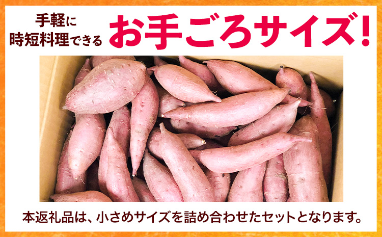 和歌山県のサツマイモ 在来種 小さめサイズ 5kg みはらファーム《12月中旬‐4月下旬頃出荷》和歌山県 日高川町 みはらファーム さつま芋 薩摩芋 さつまいも