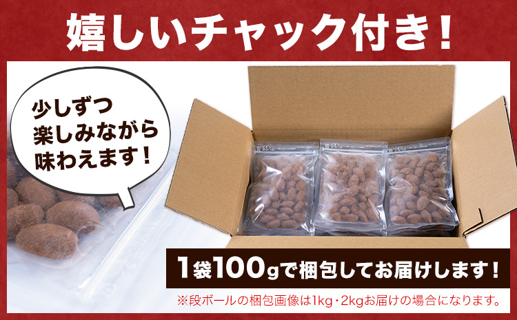 ココア アーモンドチョコ 100g《30日以内に出荷予定(土日祝除く)》和歌山県 日高川町 送料無料 スイーツ デザート お菓子 おやつ チョコ アーモンド アーモンドチョコ ココア(f-2)