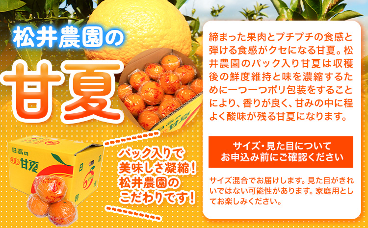 【先行予約】【ふるさと納税】パック入り 甘夏 10kg(サイズ混合) 松井農園《2026年4月上旬-5月中旬頃出荷》和歌山県 日高川町 フルーツ 柑橘 あまなつ(F)