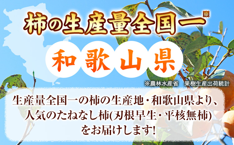 【先行予約】和歌山産 たねなし 柿（L〜4Lサイズおまかせ）約 7.5kg・秀品 厳選館《2025年10月上旬-11月中旬頃出荷》和歌山県 日高川町 柿 カキ かき ジューシー フルーツ たねなし